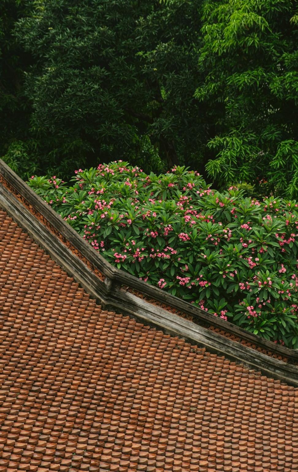Living roofs