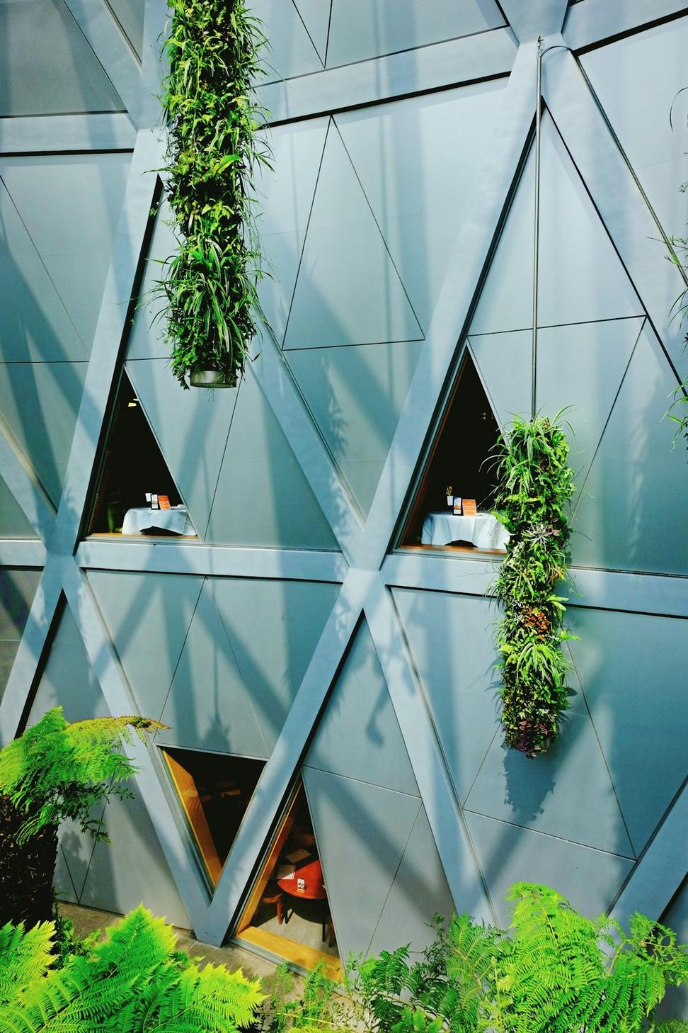 Living Roof Corporate HQ