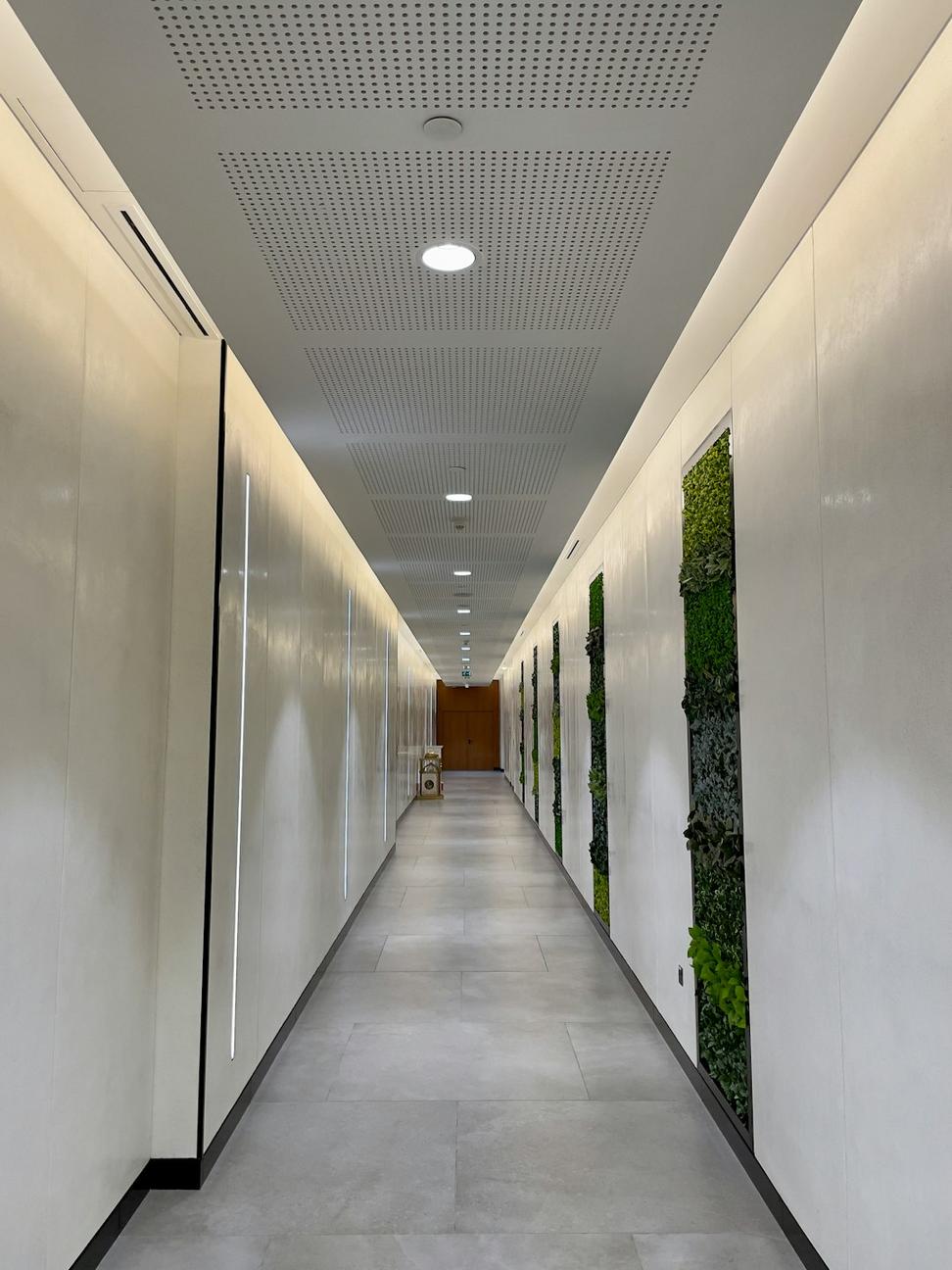 Commercial Project